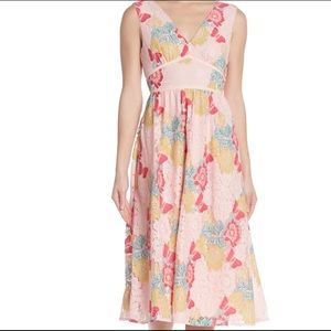 NSR Dresses | New NSR Floral Lace Midi
